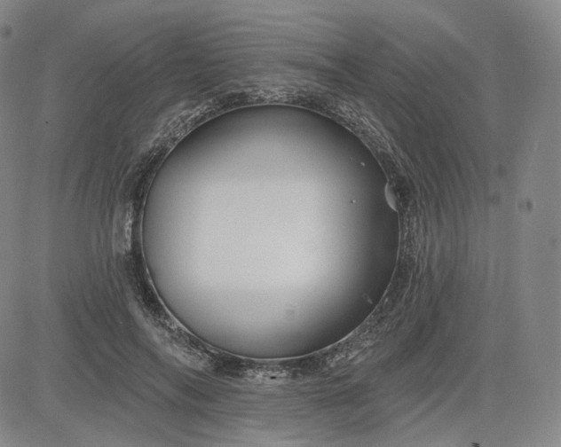 X0000083610694200702260928