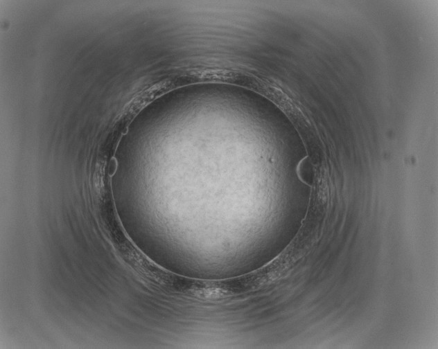 X0000083610695200702260928