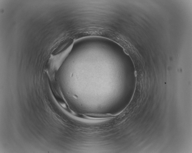 X0000083610696200702260928