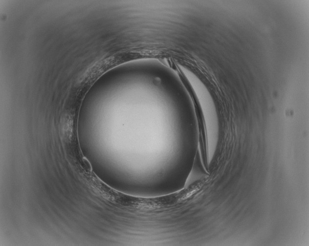 X0000083610697200702260928