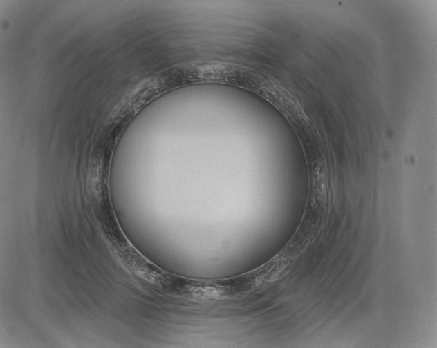 X0000083610698200702260928