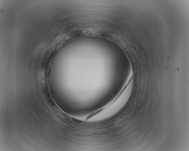 X0000083610699200702260928