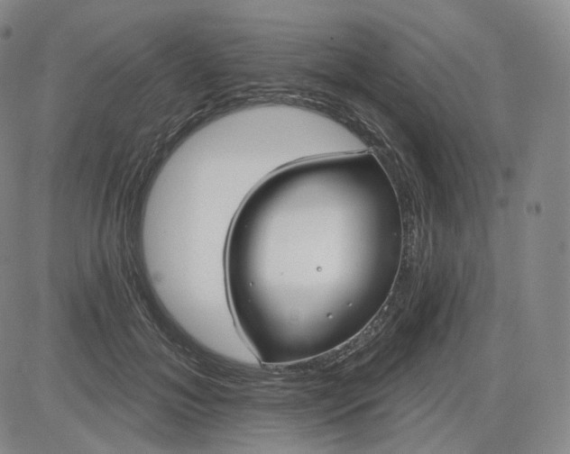 X0000083610700200702260928