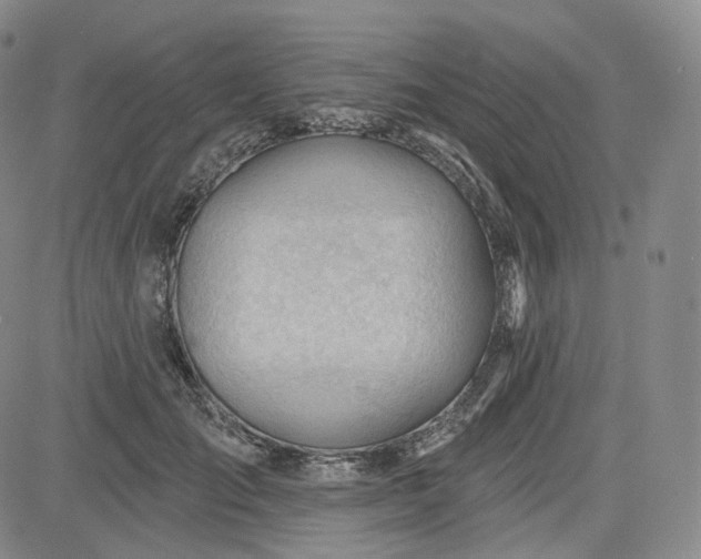 X0000083610701200702260928