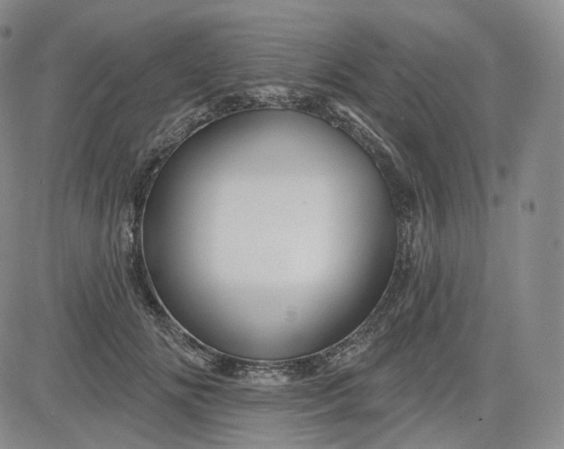 X0000083610702200702260928