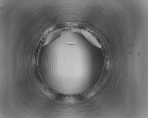 X0000083610704200702260928