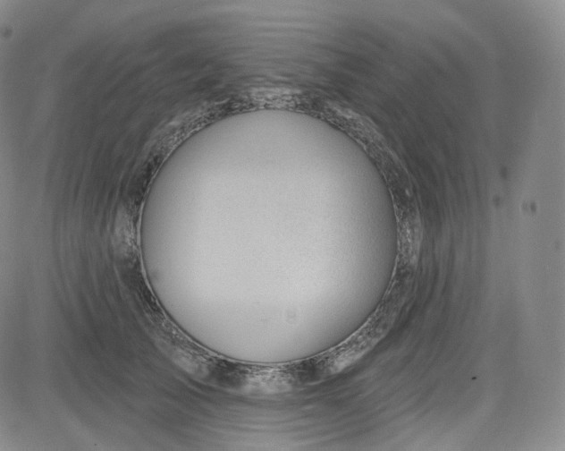 X0000083610705200702260928