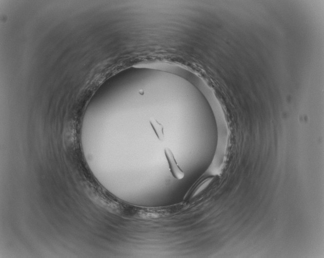 X0000083610706200702260928