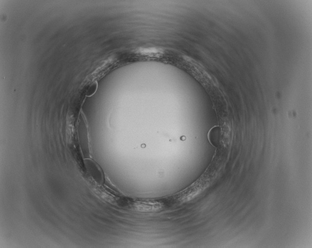 X0000083610707200702260928