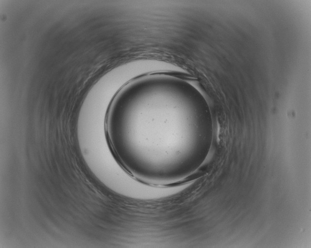 X0000083610708200702260928