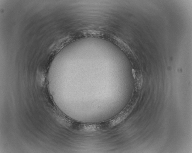 X0000083610709200702260928