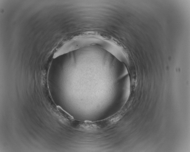 X0000083610712200702260928