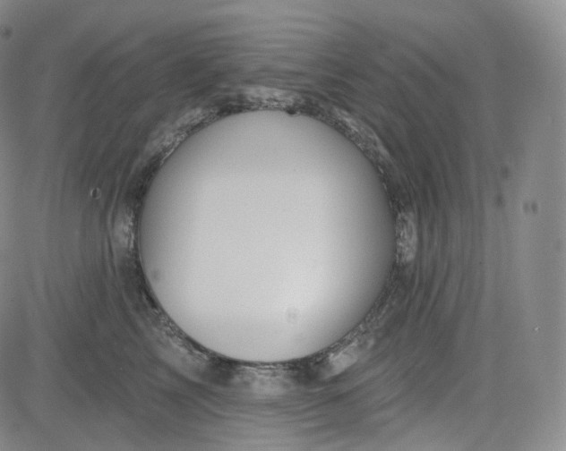 X0000083610713200702260928