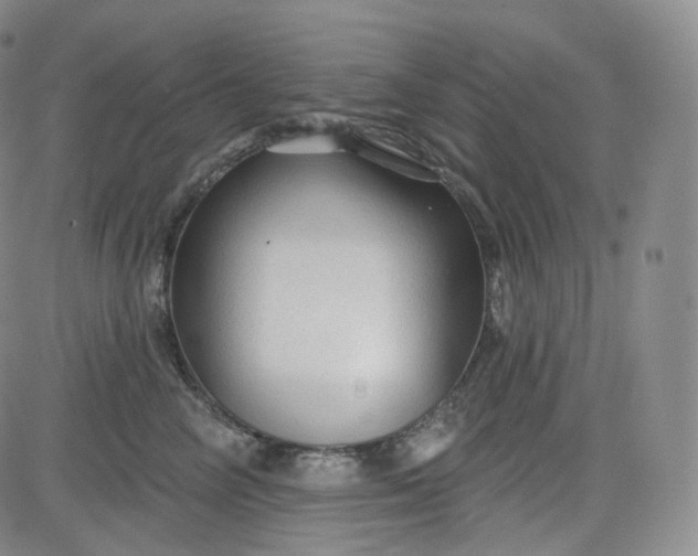 X0000083610714200702260928