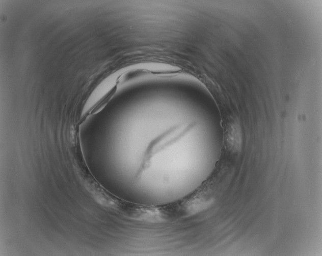 X0000083610715200702260928