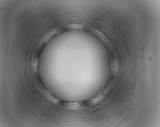 X0000083610717200702260928