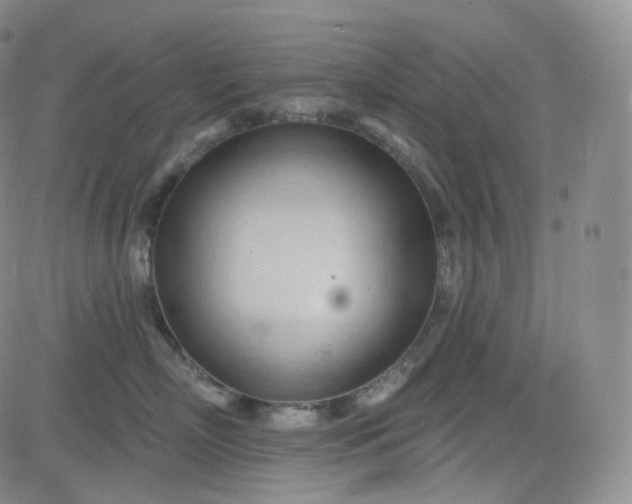 X0000083610718200702260928