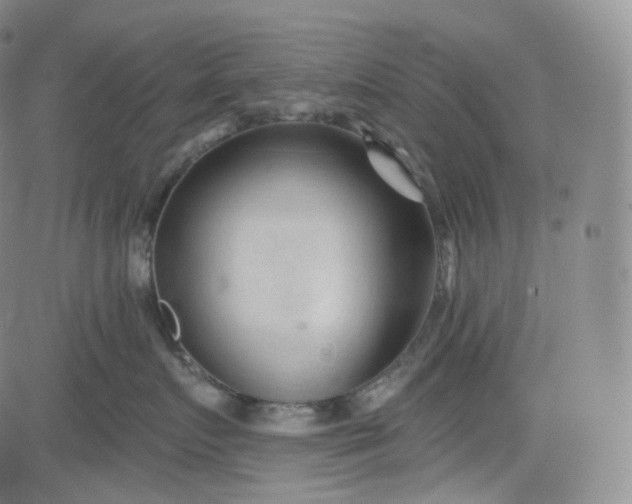 X0000083610719200702260928