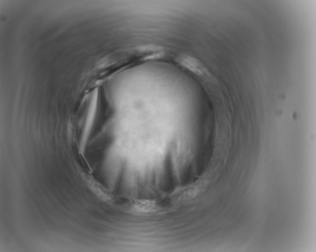 X0000083610720200702260928