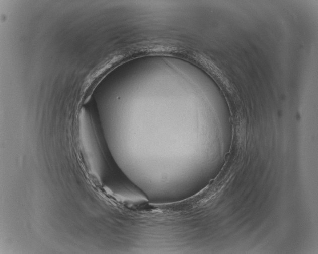 X0000083610721200702260927