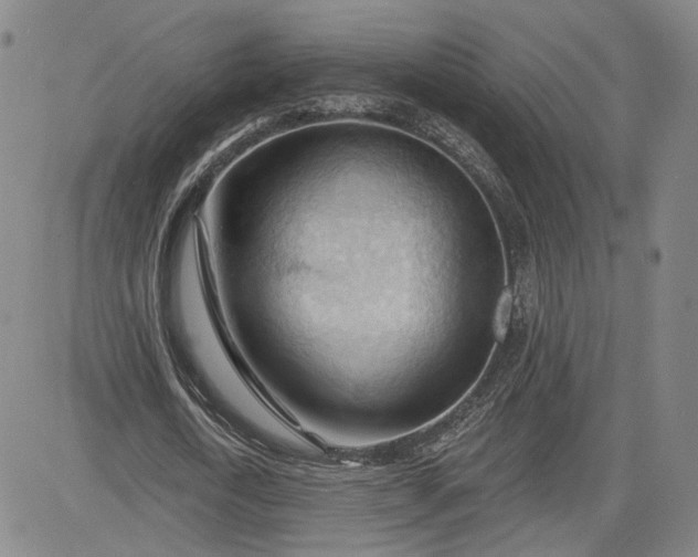 X0000083610722200702260927