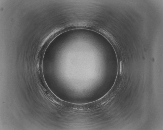 X0000083610723200702260927