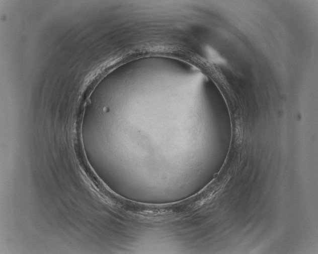 X0000083610725200702260927