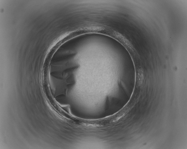 X0000083610726200702260927