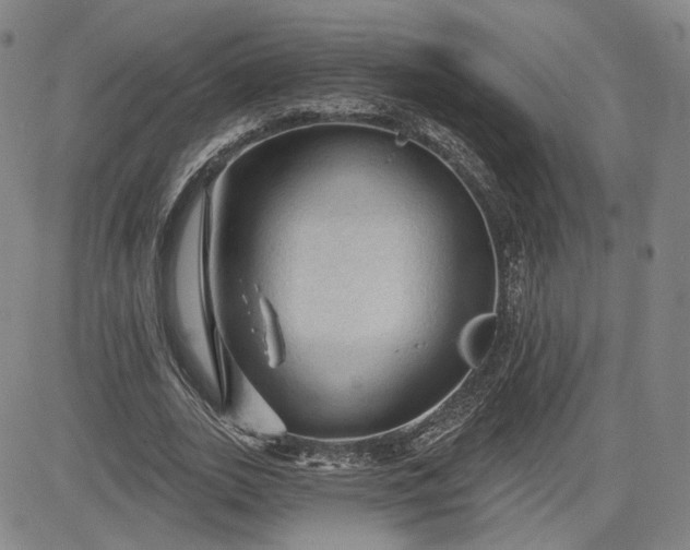 X0000083610727200702260927