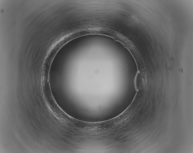 X0000083610728200702260927