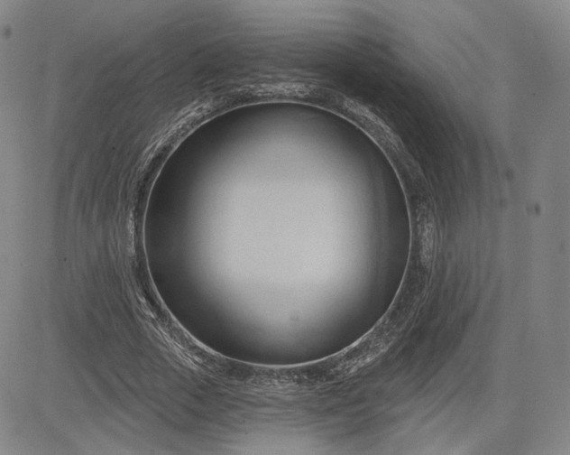 X0000083610729200702260927