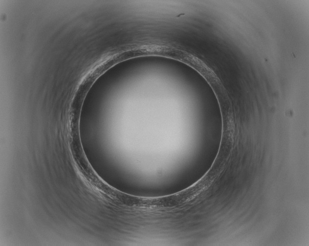 X0000083610730200702260927