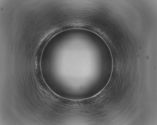 X0000083610731200702260927