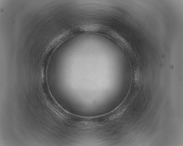 X0000083610733200702260927