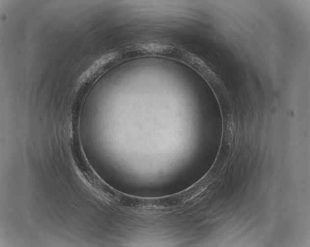 X0000083610734200702260927