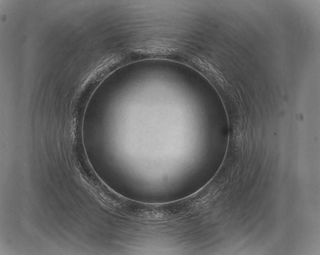 X0000083610735200702260927