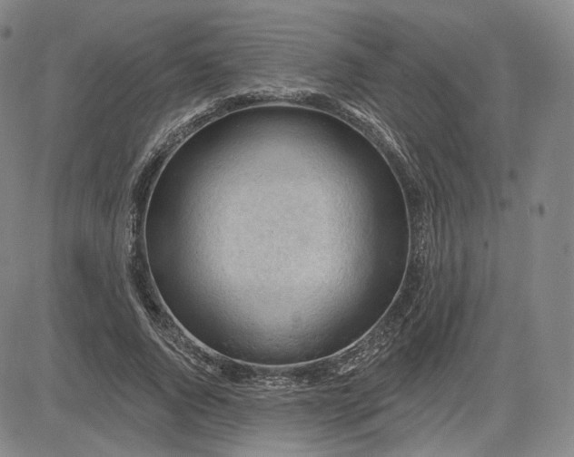 X0000083610736200702260927