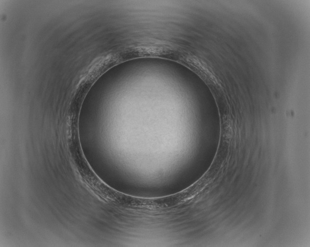 X0000083610738200702260927