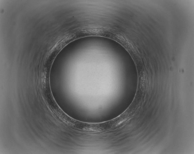 X0000083610739200702260927