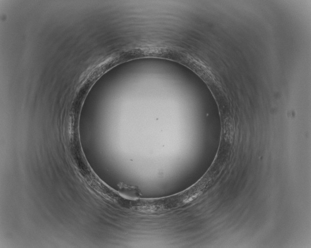 X0000083610740200702260927