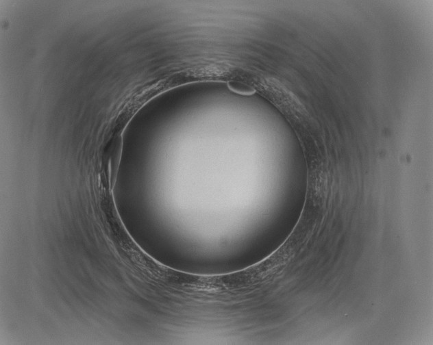 X0000083610743200702260927