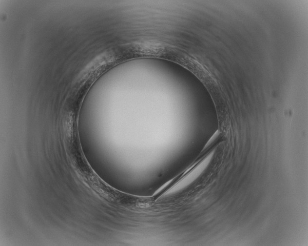 X0000083610744200702260927