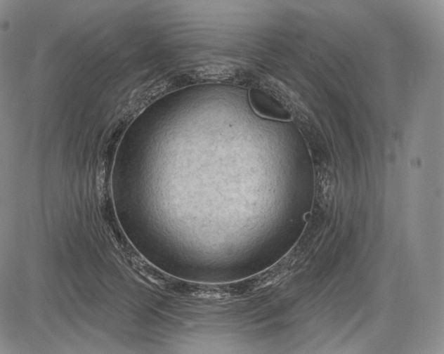 X0000083610745200702260927