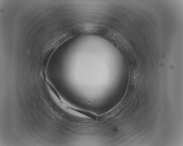 X0000083610746200702260927