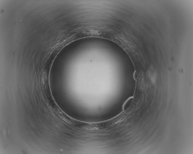 X0000083610747200702260927