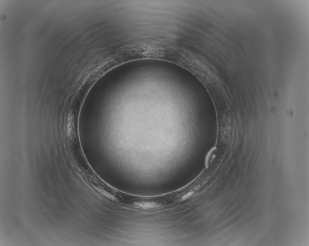 X0000083610748200702260927