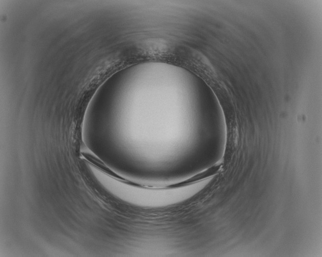 X0000083610750200702260927