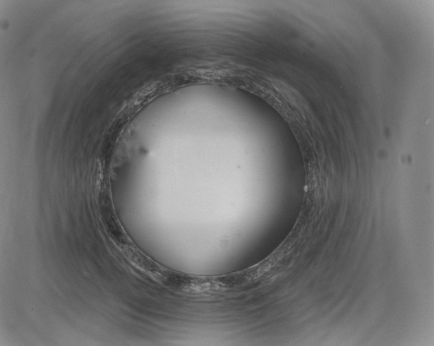 X0000083610752200702260927