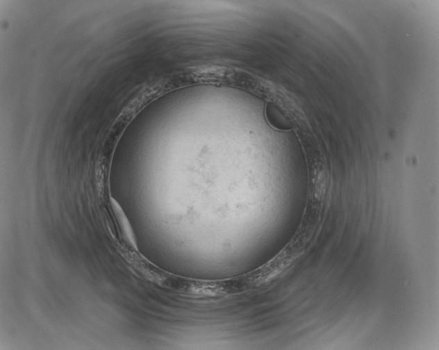 X0000083610753200702260927