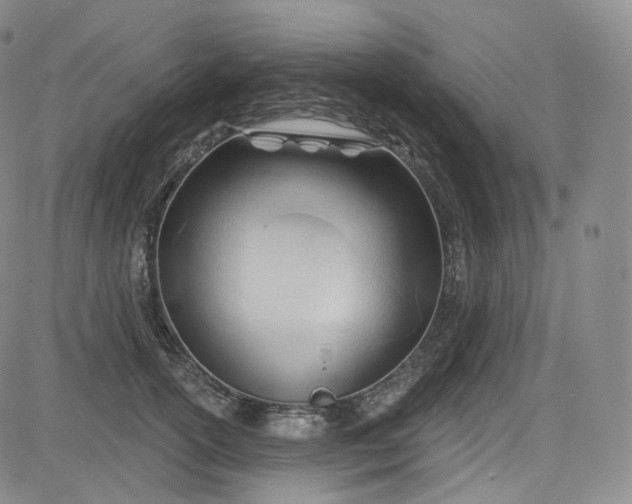 X0000083610754200702260927